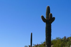 Bad Guys and Shake-ups: What you need to know from INTA's Leadership Conference